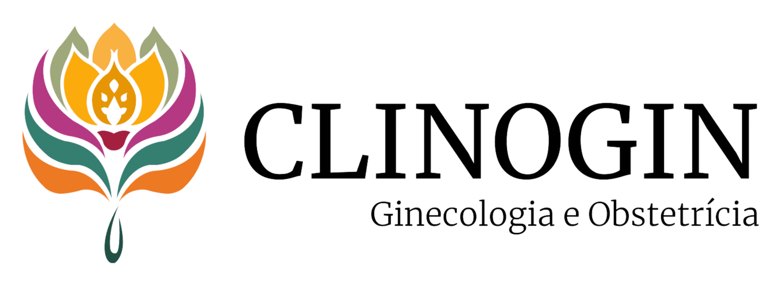 Logo do Site Clinogin Image